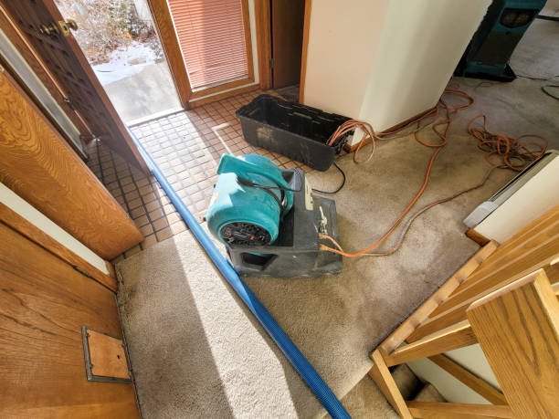 Best Water damage restoration company  in Mays Landing, NJ