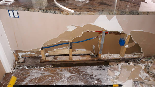 Best Residential water damage restoration  in Mays Landing, NJ